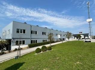 Hallen B Widmung in Eggendorf AKTUELL frei. 670 m2 EG und 1500 m2 im Seitengeschoß, 0 €, Immobilien-Gewerbeobjekte in 4622 Eggendorf im Traunkreis