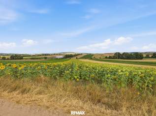 Landwirtschaftliche Fläche mit 11 710 m² in Untermallebern zu verkaufen!, 108000 €, Immobilien-Grund und Boden in 2011 Untermallebarn