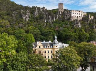Historische Villa mit 3 DG-Einheiten inkl. Terrassen I 2012 DG Ausbau inkl. Lift I Grünlage, 395000 €, Immobilien-Wohnungen in 2500 Gemeinde Baden
