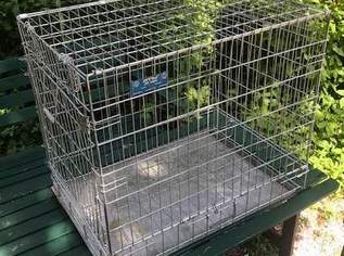 Tierkäfig, Transport-Käfig, Kleintierstall. Kräftige Ausführung für stationäre Anwendung oder Transport, 80 €, Marktplatz-Tiere & Tierbedarf in 2770 Gemeinde Gutenstein Tierkäfig, Transport-Käfig, Kleintierstall. Kräftige Ausführung für stationäre Anwendung oder Transport, 80 €, Marktplatz-Tiere & Tierbedarf in 2770 Gemeinde Gutenstein