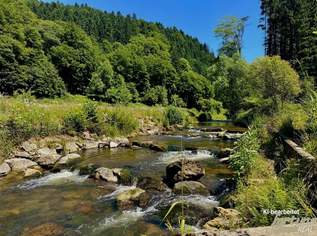 Natur, Wasser & Potenzial – Ehemalige FISCHZUCHT in ruhiger Alleinlage, 313000 €, Immobilien-Häuser in 3681 Gemeinde Hofamt Priel Natur, Wasser & Potenzial – Ehemalige FISCHZUCHT in ruhiger Alleinlage, 313000 €, Immobilien-Häuser in 3681 Gemeinde Hofamt Priel