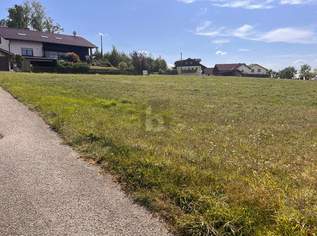 RUHIGES GRUNDSTÜCK IN TOPLAGE, 160000 €, Immobilien-Grund und Boden in 4785 Freinberg RUHIGES GRUNDSTÜCK IN TOPLAGE, 160000 €, Immobilien-Grund und Boden in 4785 Freinberg