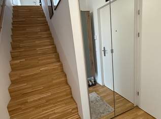 Spiegeltür 2 Stk. inkl. Scharniere