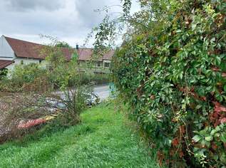 Grosses Grundstück mit bewilligtem Projekt!, 75000 €, Immobilien-Grund und Boden in 3252 Petzenkirchen Grosses Grundstück mit bewilligtem Projekt!, 75000 €, Immobilien-Grund und Boden in 3252 Petzenkirchen