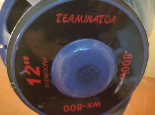 Terminator Subwoofer 800Watt