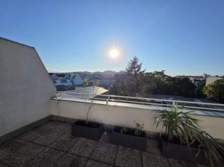 3 Zimmer- Wohnung mit großer uneinsehbarer Terrasse und einer weiteren kleinen Terrasse, 1290 €, Immobilien-Wohnungen in 1210 Floridsdorf 3 Zimmer- Wohnung mit großer uneinsehbarer Terrasse und einer weiteren kleinen Terrasse, 1290 €, Immobilien-Wohnungen in 1210 Floridsdorf