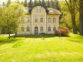 Wunderschönes Grundstück mit kleinem Zinshaus im Ortskern von Weissenbach an der Triesting!, 1100000 €, Immobilien-Häuser in 2564 Katastralgemeinde Weissenbach an der Triesting