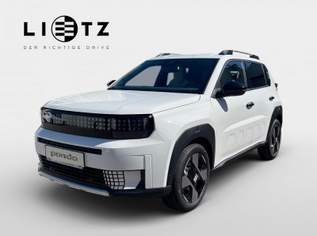 Grande Panda Elektro La Prima, 26390 €, Auto & Fahrrad-Autos in Niederösterreich