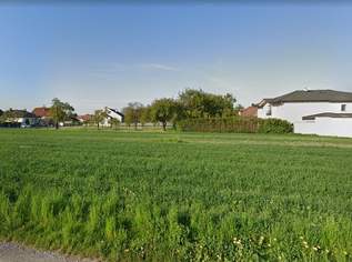 Chikago, Chikago!, 507680 €, Immobilien-Grund und Boden in 2421 Kittsee