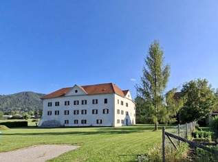 Geschichtsträchtige Schlossanlage mit historischer, beeindruckender Substanz, 1150000 €, Immobilien-Häuser in 8642 Sankt Lorenzen im Mürztal
