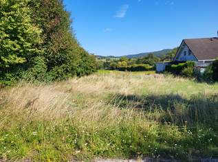 PREISREDUKTION!!! SCHÖNER BAUGRUND 3 WOHNEINHEITEN MÖGLICH, 0 €, Immobilien-Grund und Boden in 3443 Rappoltenkirchen