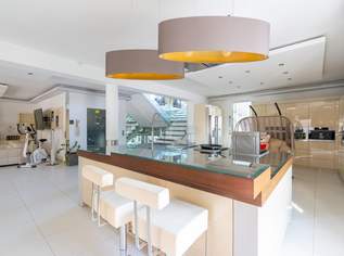 Seltene Gelegenheit- Ein Traum wird nun wahr !, 700000 €, Immobilien-Häuser in 2751 Steinabrückl