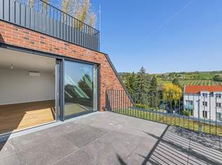 Penthouse mit Blick in die Weinberge, 1990000 €, Immobilien-Wohnungen in 1190 Döbling