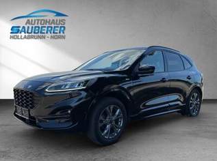 KUGA 2,0 DIESEL *ST-Line X* I ALLRAD I AUTOMATIK I, 18990 €, Auto & Fahrrad-Autos in Niederösterreich KUGA 2,0 DIESEL *ST-Line X* I ALLRAD I AUTOMATIK I, 18990 €, Auto & Fahrrad-Autos in Niederösterreich