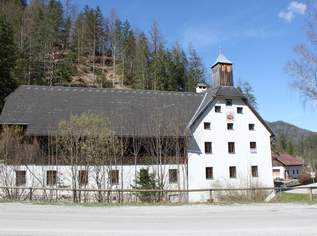 Büro, Seminar, Wohnen, in Wunderschöner Landschaft!, 0 €, Immobilien-Gewerbeobjekte in 8924 Wildalpen