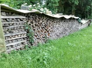 Verkaufe Brennholz hart trocken , 100 €, Haus, Bau, Garten-Hausbau & Werkzeug in 4323 Münzbach