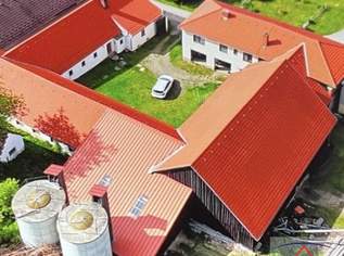 Vierkanthof mit zwei Wohneinheiten! Ideal für Pferdehaltung!, 250000 €, Immobilien-Häuser in 3900 Großhaselbach