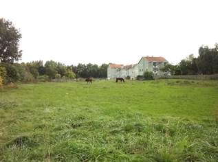 Großes Baugrundstück mit vielseitigem Bebauungspotential!, 1650000 €, Immobilien-Grund und Boden in 7122 Gols