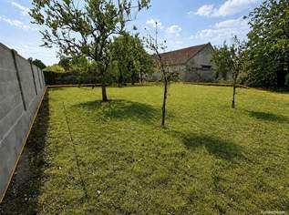 Parndorf, neu parzellierter ebener Bauplatz 600 m² für Ihr Familien- oder Doppelhaus, 234000 €, Immobilien-Grund und Boden in 7111 Parndorf
