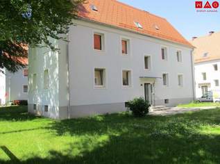 Preiswerte 3-Zimmer-(Durch-)Starter-Wohnung in zentraler und dennoch naturnaher Grünlage, mit allen Annehmlichkeiten einer Top-Infrastruktur! Ab 01.10.2025 verfügbar!, 409.17 €, Immobilien-Wohnungen in 4400 Steyr