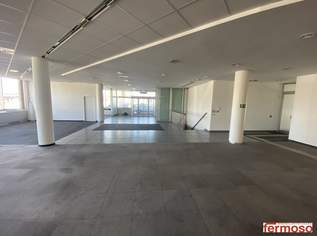 Geräumiges Geschäftslokal in der Perfektastraße – 440 m² im Erdgeschoss + 130 m² Lager – vielseitig nutzbar!, 6000 €, Immobilien-Gewerbeobjekte in 1230 Liesing