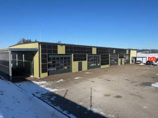 Moderne Lager - bzw Produktionshalle in Neusserling im Mühlviertel, 1800000 €, Immobilien-Gewerbeobjekte in 4175 Neußerling