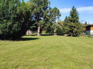 Traumhafter Baugrund am Fuße des Bisambergs, 950000 €, Immobilien-Grund und Boden in 1210 Floridsdorf