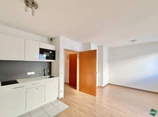 Schönes Single-Apartment nähe Augarten, 595 €, Immobilien-Wohnungen in 1200 Brigittenau Schönes Single-Apartment nähe Augarten, 595 €, Immobilien-Wohnungen in 1200 Brigittenau