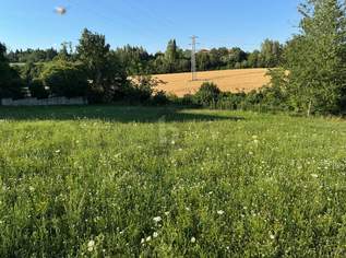 TRAUMHAFTES BAUGRUNDSTÜCK MIT BAUBEWILLIGUNG UND EINREICHPLAN, 259000 €, Immobilien-Grund und Boden in 4600 Wels TRAUMHAFTES BAUGRUNDSTÜCK MIT BAUBEWILLIGUNG UND EINREICHPLAN, 259000 €, Immobilien-Grund und Boden in 4600 Wels