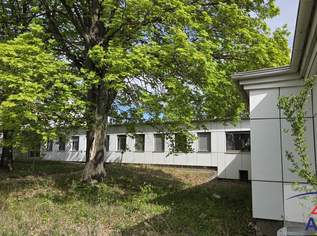 Ausbaufähiges Betriebsgrundstück mit flexibel nutzbarem Gebäude!, 0 €, Immobilien-Grund und Boden in 2214 Auersthal Ausbaufähiges Betriebsgrundstück mit flexibel nutzbarem Gebäude!, 0 €, Immobilien-Grund und Boden in 2214 Auersthal