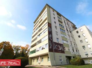 Praxis- & Bürofläche mit Top-Infrastruktur in Linz-Kleinmünchen, incl. drei Lagergaragen, 1998 €, Immobilien-Gewerbeobjekte in Oberösterreich Praxis- & Bürofläche mit Top-Infrastruktur in Linz-Kleinmünchen, incl. drei Lagergaragen, 1998 €, Immobilien-Gewerbeobjekte in Oberösterreich