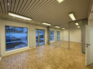 Geschäftsfläche gegenüber vom Auhof Center (vis-à-vis McDonalds), 1316 €, Immobilien-Gewerbeobjekte in 1140 Penzing