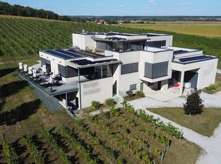 Weingut mit ca. 4 ha Weingärten im Südburgenland!, 1950000 €, Immobilien-Gewerbeobjekte in 7400 Oberwart Weingut mit ca. 4 ha Weingärten im Südburgenland!, 1950000 €, Immobilien-Gewerbeobjekte in 7400 Oberwart