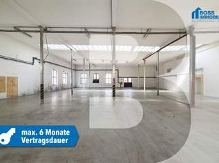 Preiswertes Lager in Traun | Sofortbezug für max. 6 Monate, 1360 €, Immobilien-Gewerbeobjekte in 4050 Traun Preiswertes Lager in Traun | Sofortbezug für max. 6 Monate, 1360 €, Immobilien-Gewerbeobjekte in 4050 Traun