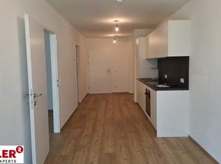Modern, Neu, Zentral, 2 Zimmer Mietwohnung + Loggia in Linz, 759.23 €, Immobilien-Wohnungen in Oberösterreich