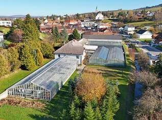 Gärtnerei nahe Tulln & Wien: Betriebsimmobilie mit Glashäusern und Wohnhaus - Umwidmung möglich, 690000 €, Immobilien-Gewerbeobjekte in 3434 Katzelsdorf Gärtnerei nahe Tulln & Wien: Betriebsimmobilie mit Glashäusern und Wohnhaus - Umwidmung möglich, 690000 €, Immobilien-Gewerbeobjekte in 3434 Katzelsdorf