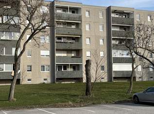 Ordination gesucht !!!, 325000 €, Immobilien-Wohnungen in 2500 Gemeinde Baden