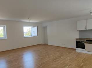 Moderne 3- Zimmer Mietwohnung in Enns, null €, Immobilien-Wohnungen in 4470 Enns