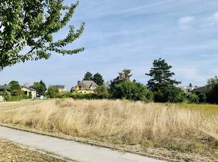 Großer Baugrund in Gerasdorf, 673000 €, Immobilien-Grund und Boden in 2201 Gerasdorf bei Wien