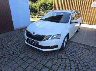 Octavia Active, 12490 €, Auto & Fahrrad-Autos in 5452 Pfarrwerfen