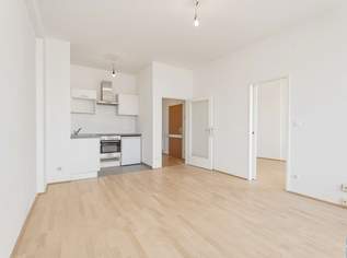 Laurenzi am Fluss- Wohnen und Arbeiten mit Weitblick!, 630000 €, Immobilien-Wohnungen in 1010 Innere Stadt