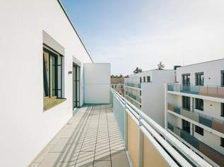 AB ca. JULI/AUGUST/2026 /Moderne und sonnige 2 Zimmerwohnung mit Loggia-eventuell schon früher frei!, 836.36 €, Immobilien-Wohnungen in 2000 Gemeinde Stockerau