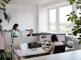 Geräumige Bürofläche exakt auf Ihre Bedürfnisse abgestimmt, provisionsfrei - WALTER BUSINESS-PARK, 3430.4 €, Immobilien-Gewerbeobjekte in 1230 Liesing