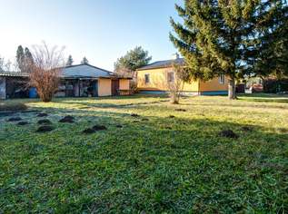 Kleines Haus, großer Grund - viel Potential!, 385000 €, Immobilien-Häuser in 2230 Gemeinde Gänserndorf