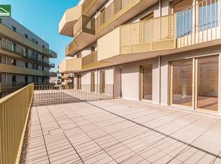 Sie werden es lieben – durchdachte Grundrisse mit Freiflächen im Grünen – Niedrig-Energie-Standard _ Provisionsfrei, 267000 €, Immobilien-Wohnungen in 1210 Floridsdorf Sie werden es lieben – durchdachte Grundrisse mit Freiflächen im Grünen – Niedrig-Energie-Standard _ Provisionsfrei, 267000 €, Immobilien-Wohnungen in 1210 Floridsdorf