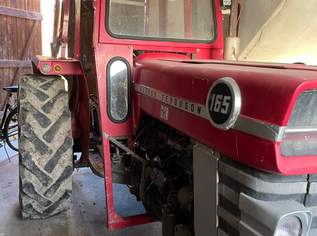 Verkaufe Massey Ferguson MF 165, 4800 €, Auto & Fahrrad-Traktoren & Nutzfahrzeuge in 4716 Hofkirchen an der Trattnach