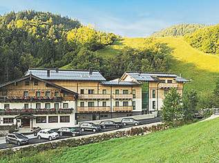 FRIEDLWIRT Hotel & Apartments null