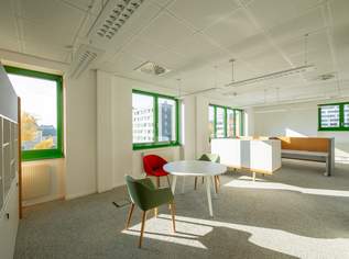 Große Bürofläche mit flexibler Raumaufteilung - PKW-Stellplätze möglich, 18989.39 €, Immobilien-Gewerbeobjekte in 1220 Donaustadt