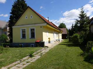 Ehemaliger Streckhof mit großem Obstgarten, 99000 €, Immobilien-Häuser in 7453 Dörfl