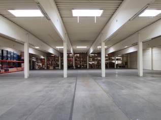 Halle mit Büro, 3600 €, Immobilien-Gewerbeobjekte in 4063 Hörsching